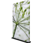 Event Extras – Display – Tension Banner – Plant